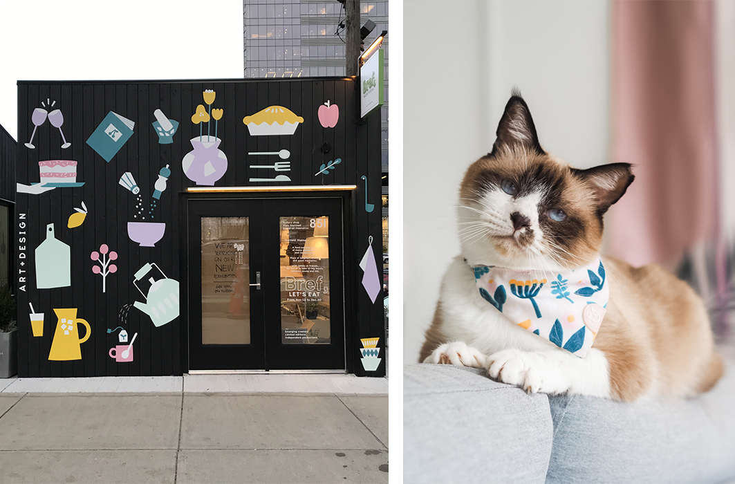 Murale pour Bref, une boutique éphémère à Boston et Illustrations pour accessoires pour animaux, Gentle Pup, Myriam Van Neste