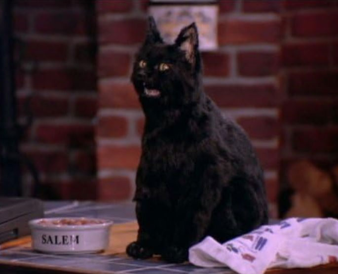 Le chat Salem, dans Sabrina, l'apprentie sorcière.
