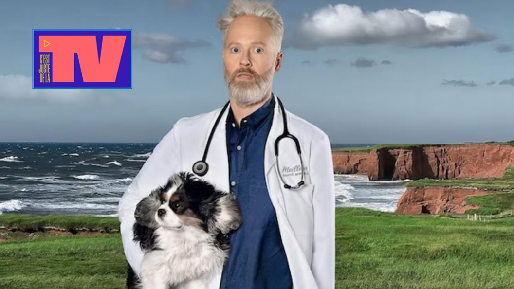 Image de Des émissions télé pour les adeptes d’animaux 