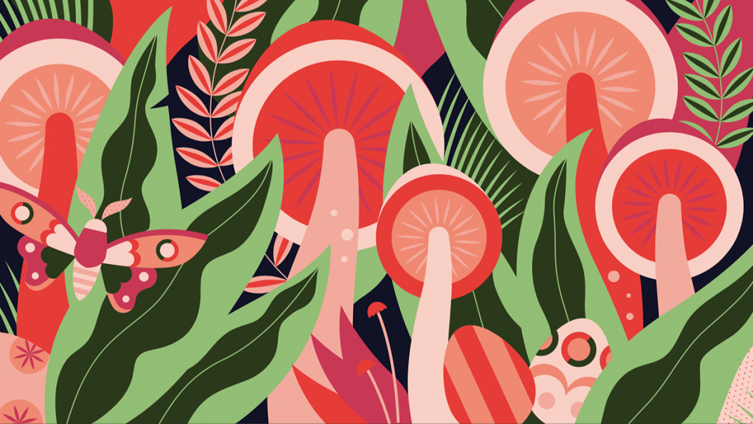 Image de Artiste à découvrir: Delphine Meier, illustratrice