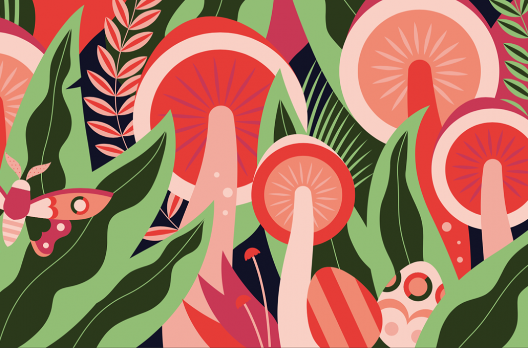 Artiste à découvrir: Delphine Meier, illustratrice